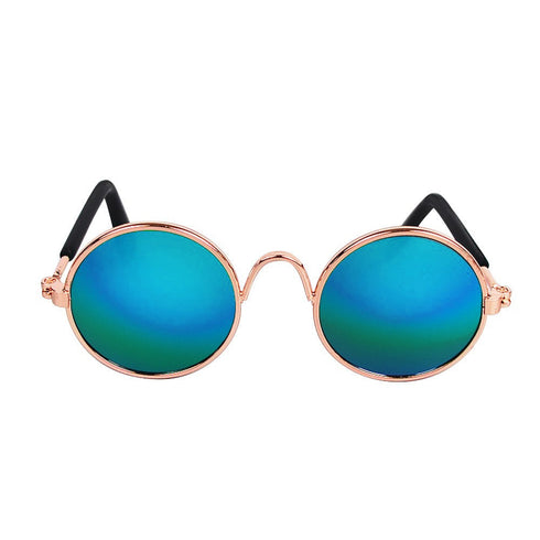 Coloured Dog Glasses